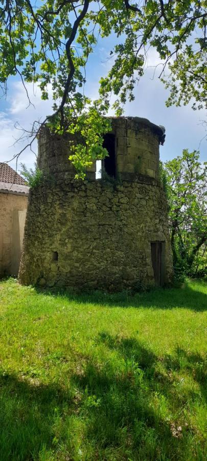 הוילה Saint-Genès-de-Castillon Moulin De Bigorre מראה חיצוני תמונה
